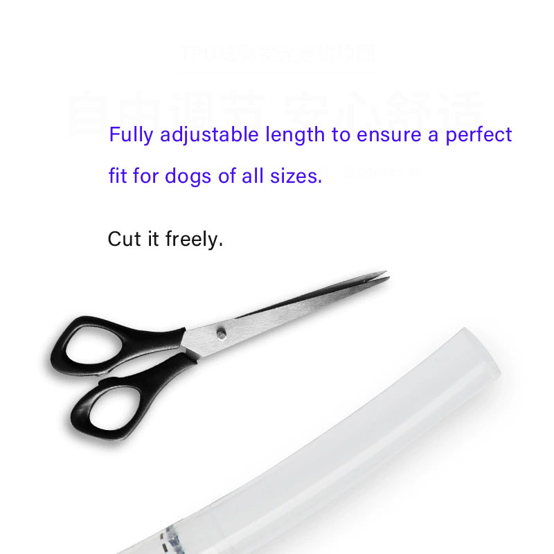 USB-Rechargeable LED Dog Collar with Adjustable Fit