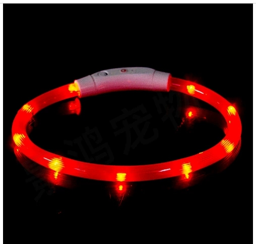 USB-Rechargeable LED Dog Collar with Adjustable Fit