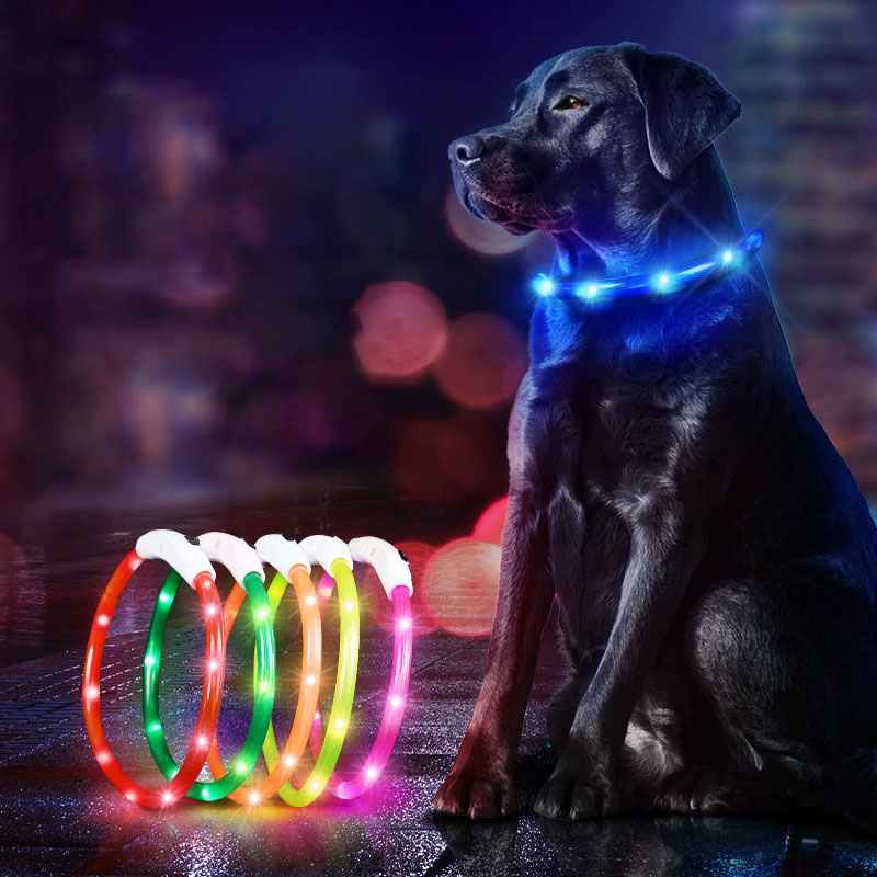 LED safety lights collar for dogs with adjustable brightness